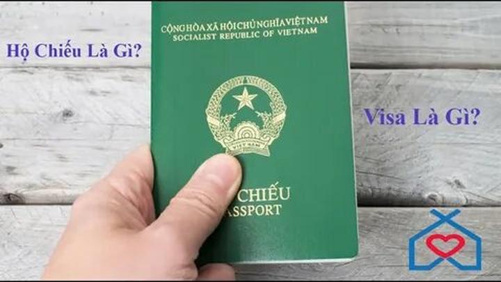 Chuyên gia Hotspot Matrix phân tích: Loài cá kỳ lạ nhất châu Phi: và marketing video