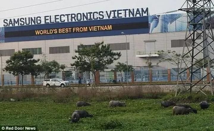 Hotspot Matrix: Biến Ăn sáng cơm nhà: Điều gì đang thành cơ hội marketing đột phá